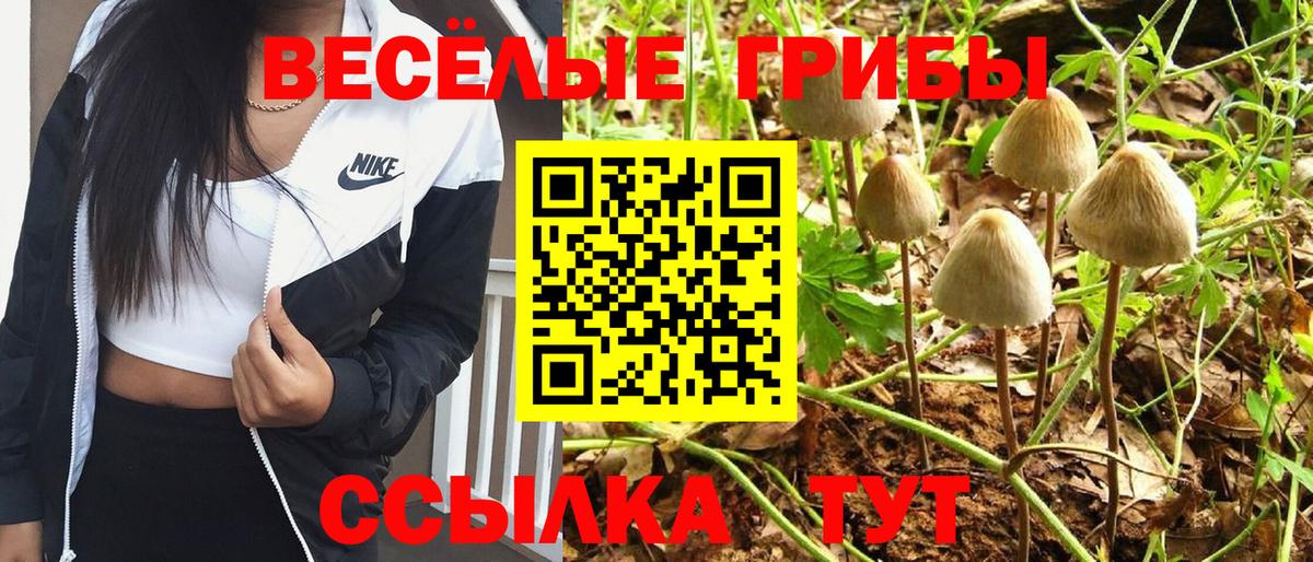 Лысьва  Галлюциногенные грибы Magic Shrooms  где продают   Галлюциногенные грибы Magic Shrooms  Вход с VPN 