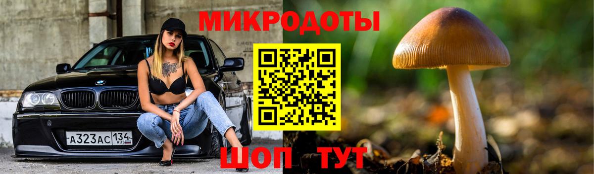 Псилоцибиновые грибы мицелий Лысьва